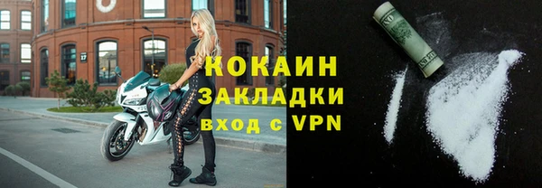 хмурый Верея