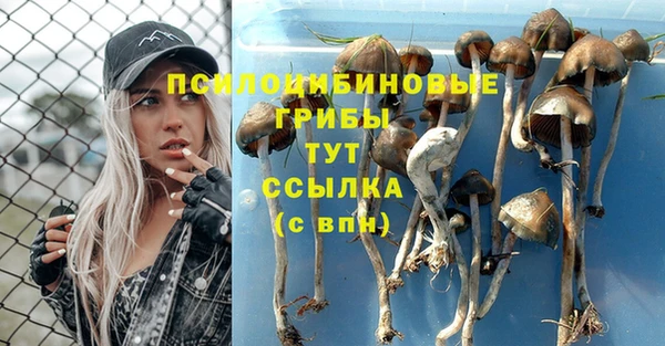 а пвп мука Пролетарск