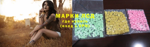 хмурый Верея