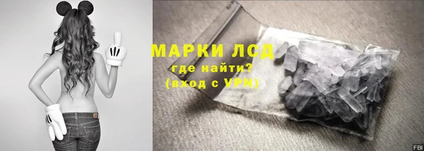 хмурый Верея