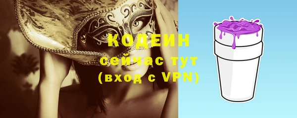 хмурый Верея