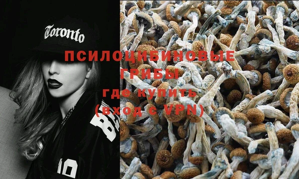 хмурый Верея