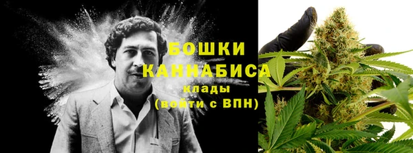 хмурый Верея