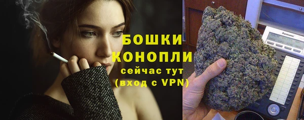 хмурый Верея