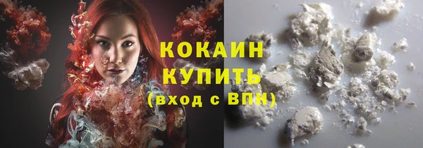 хмурый Верея