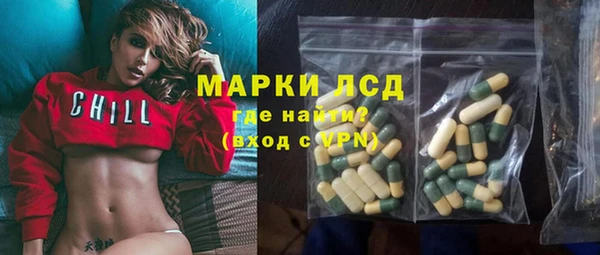 хмурый Верея