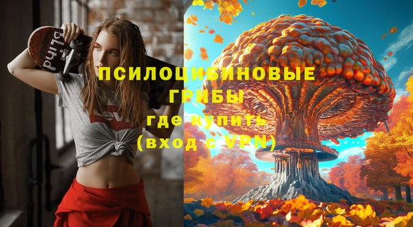хмурый Верея