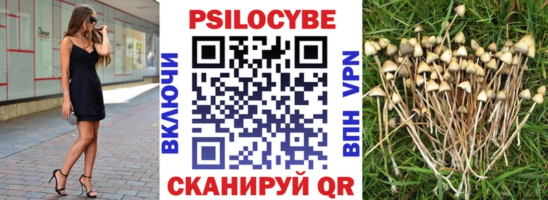 купить  сайты  Оха  Галлюциногенные грибы MAGIC MUSHROOMS 